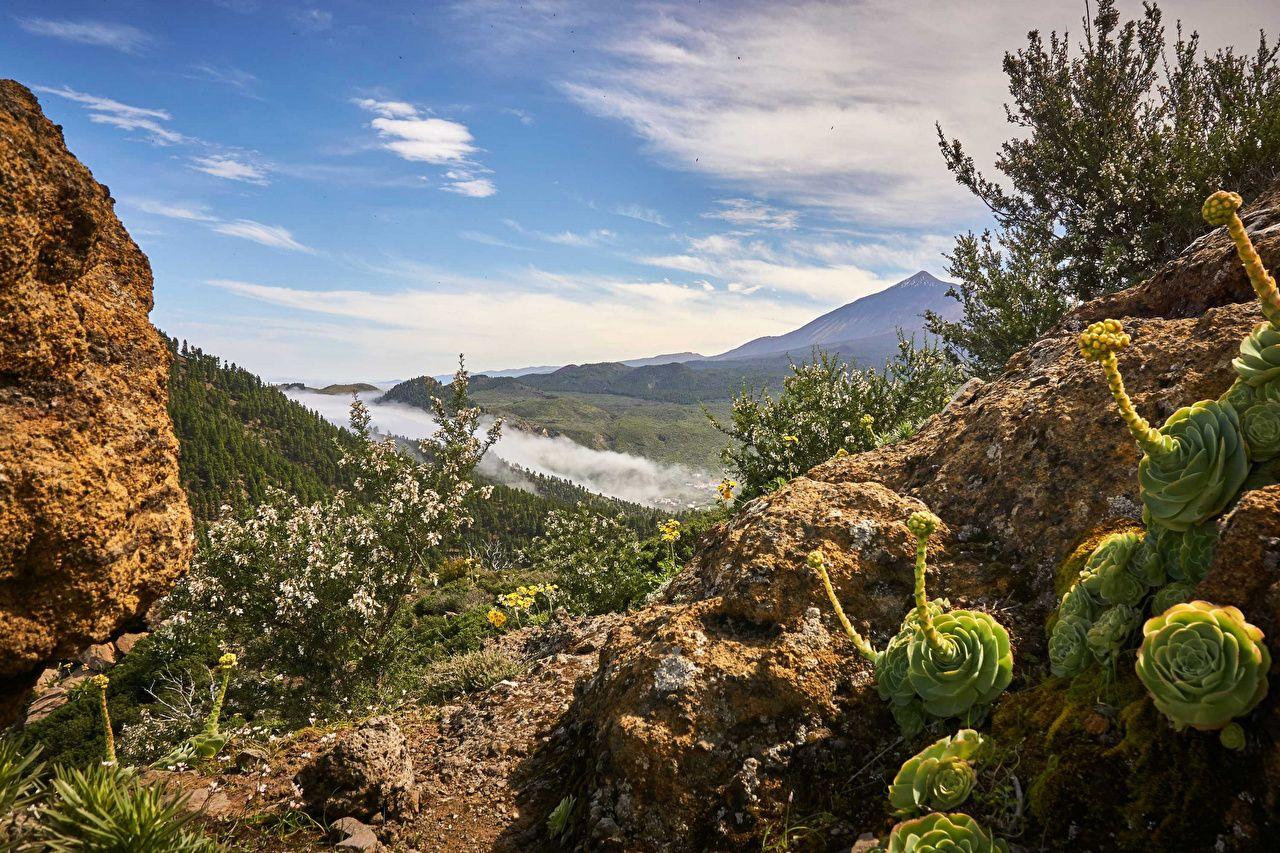 Canary Islands Spain Tenerife Nature Sky