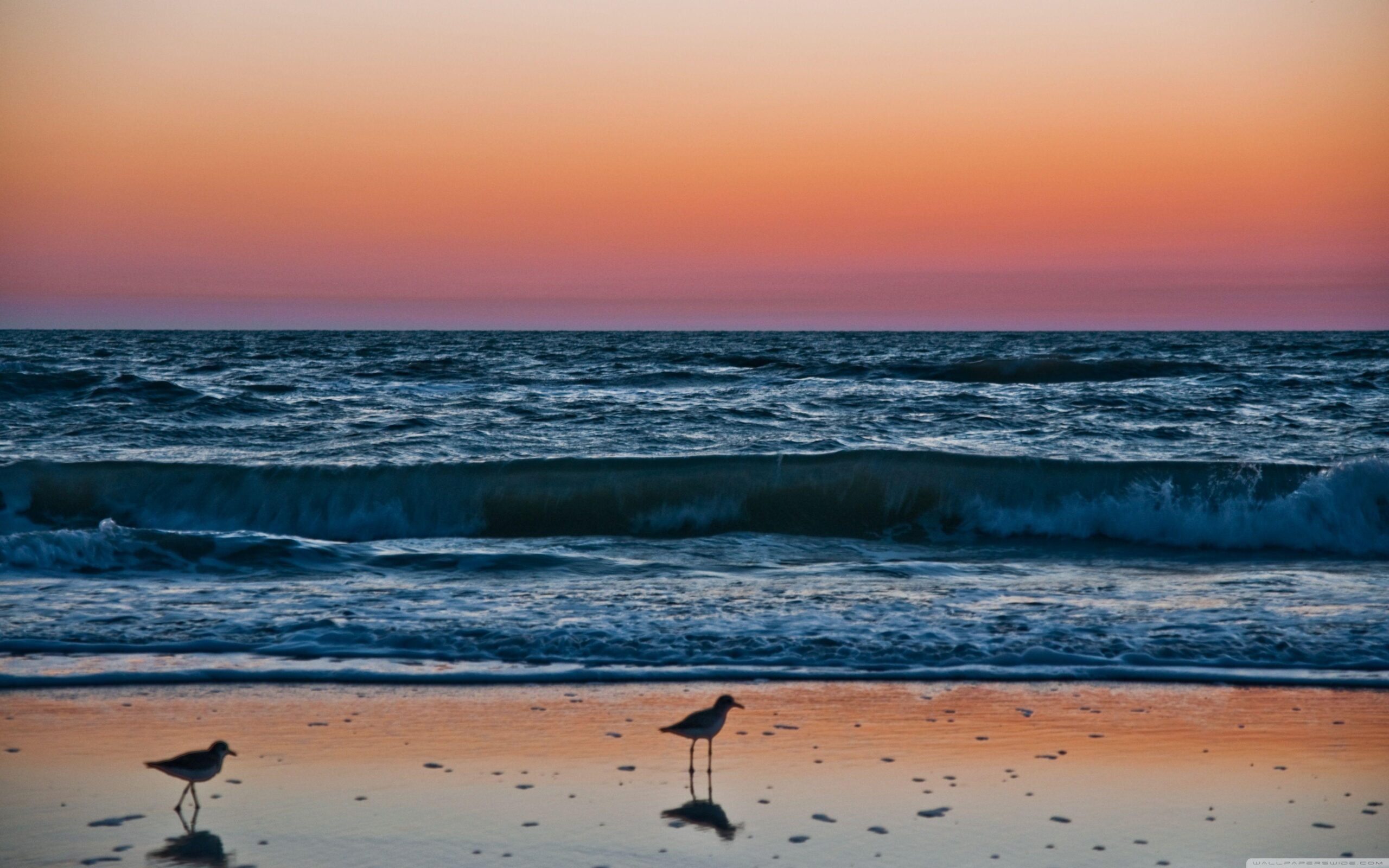 Sunset In Naples, Florida HD desktop wallpapers : Widescreen : High