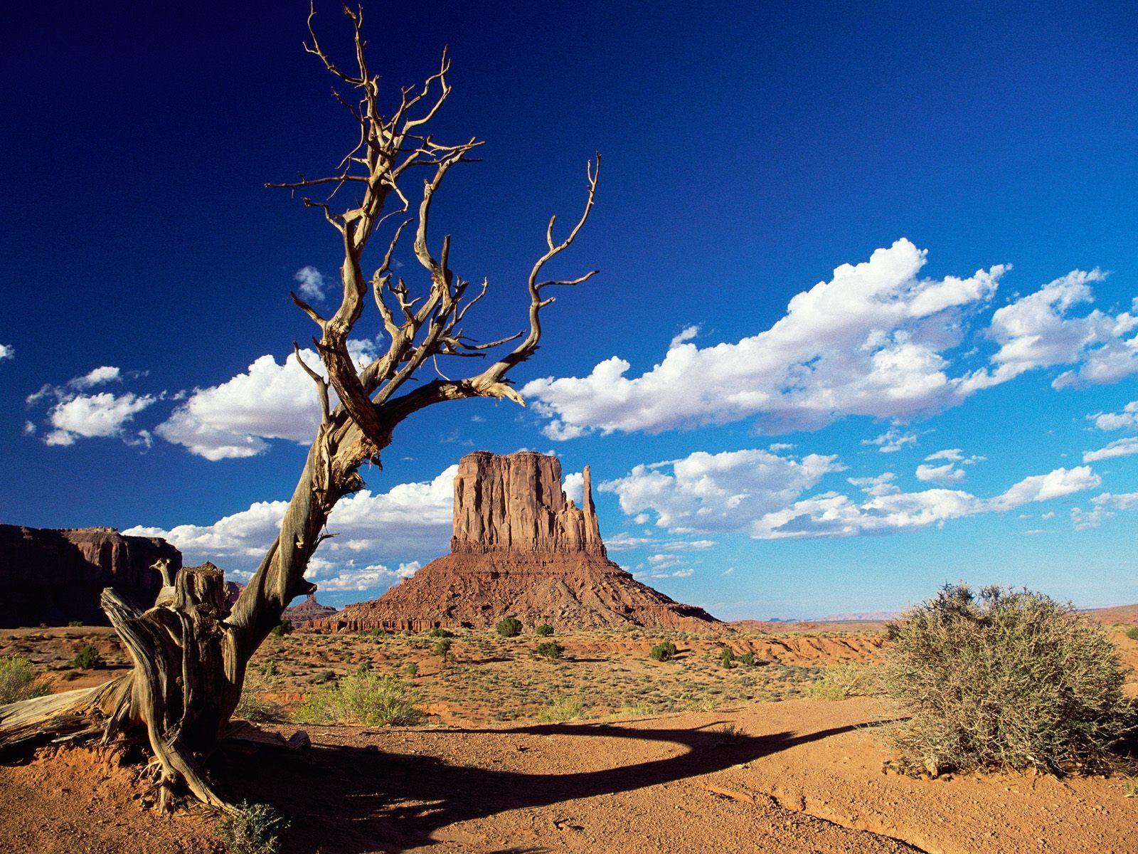 Arizona Wallpapers Widescreen