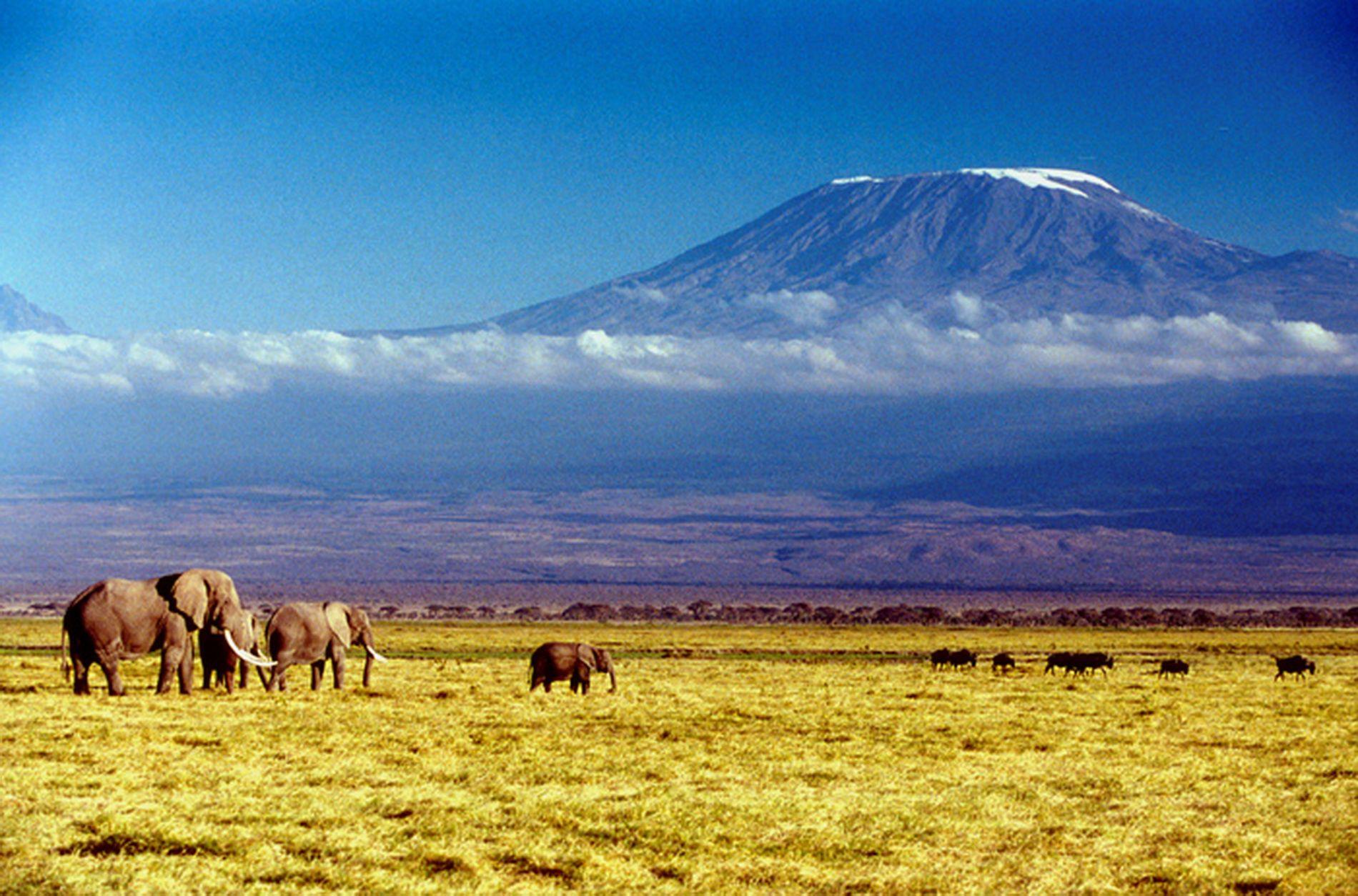 Kilimanjaro Wallpapers, Amazing 43 Wallpapers of Kilimanjaro, Top