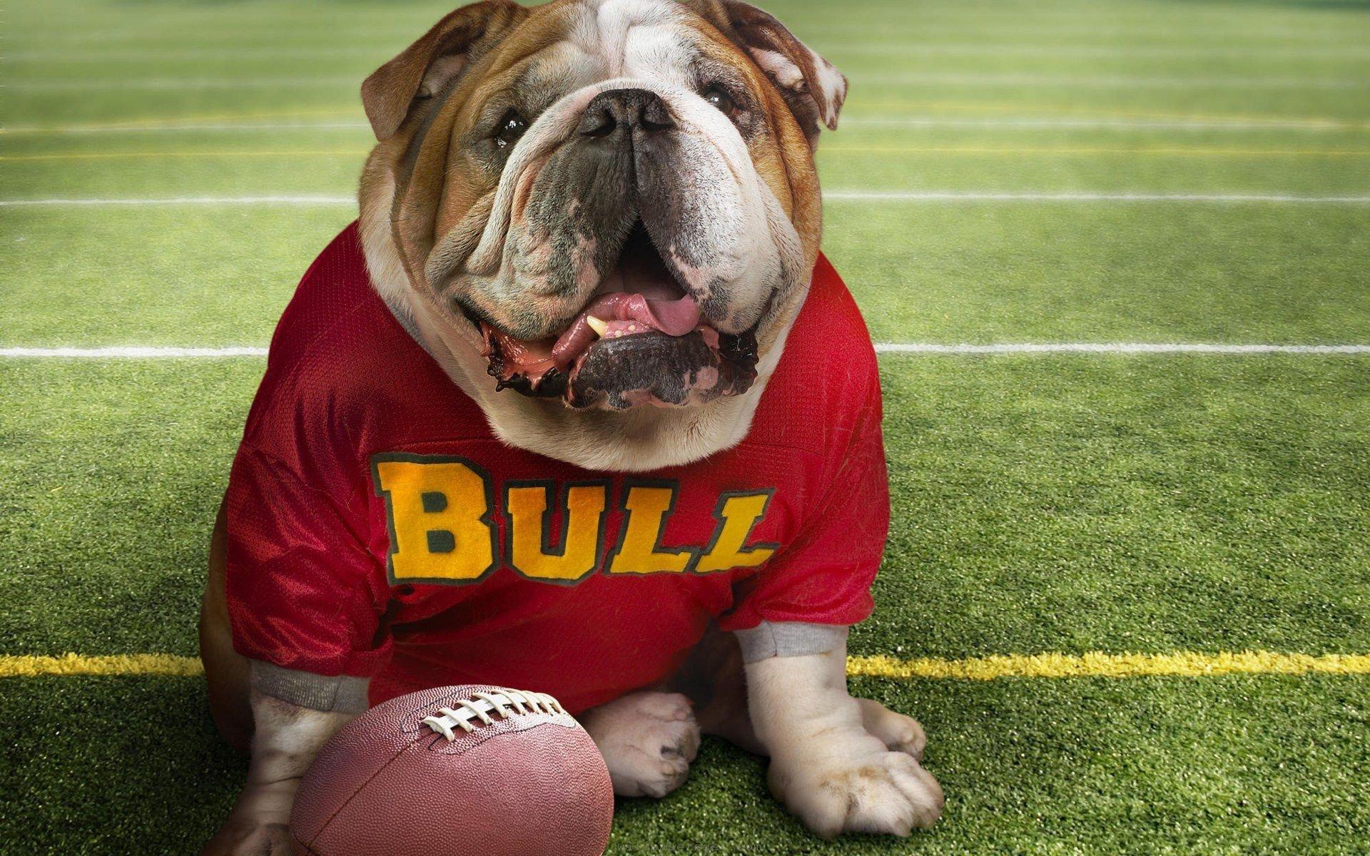 Georgia Bulldogs wallpapers HD for desktop backgrounds