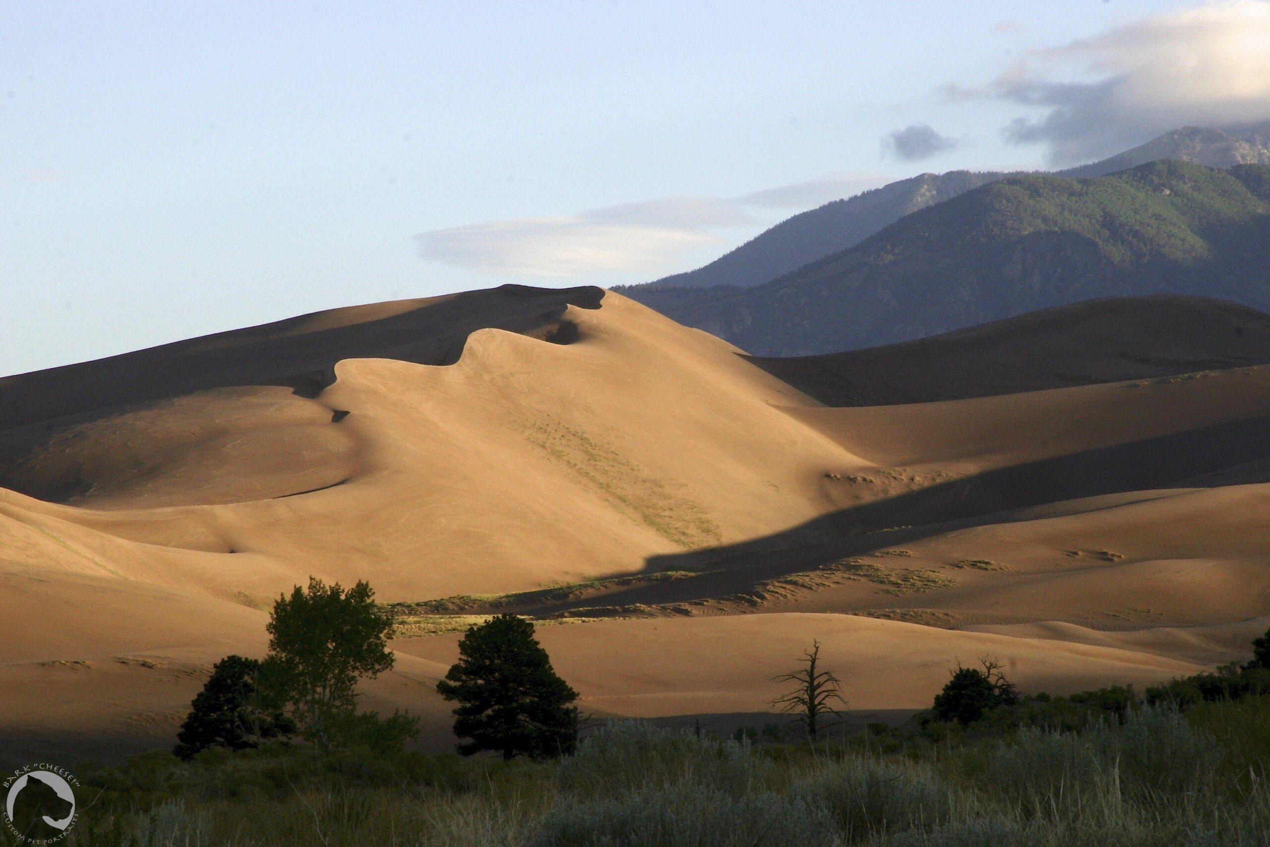 Great Sand Dunes National Park and Preserve