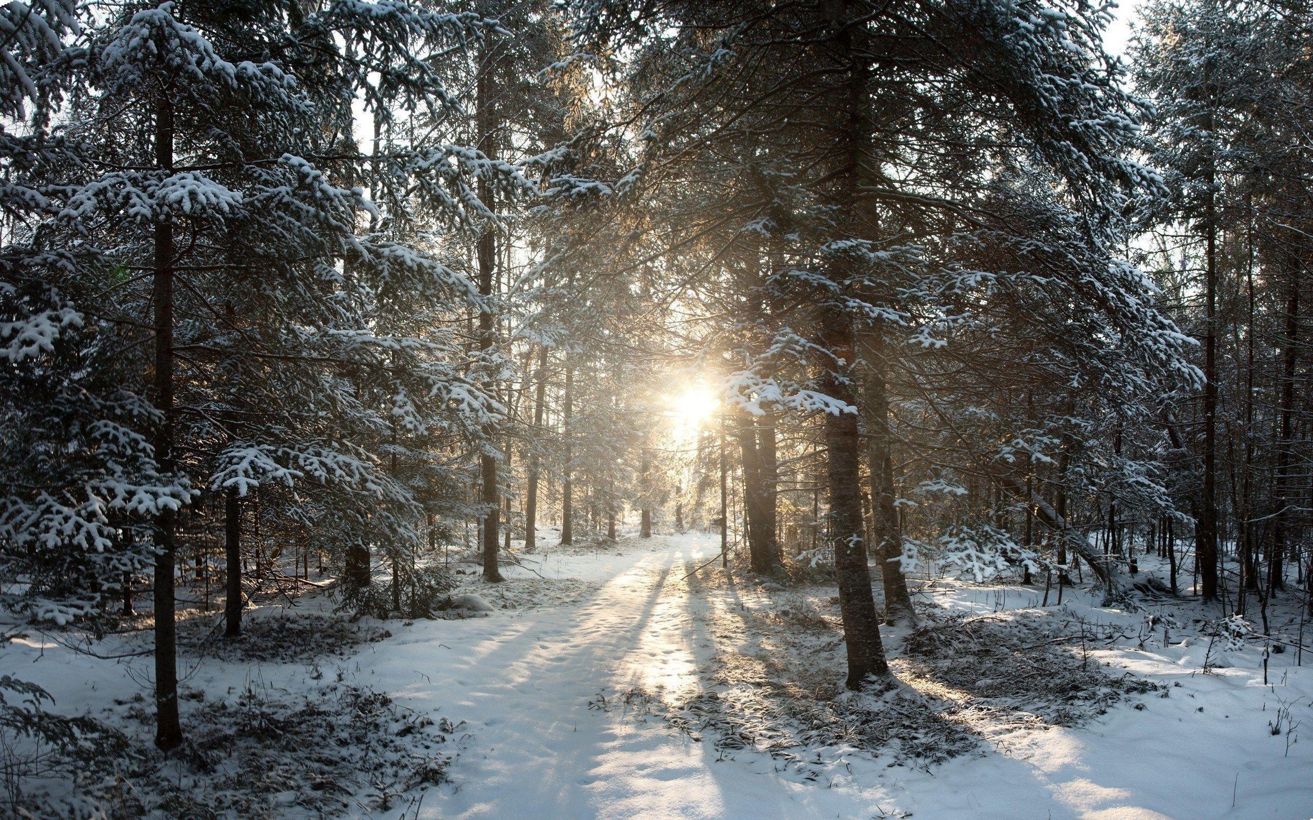 Wisconsin Winter Wallpapers