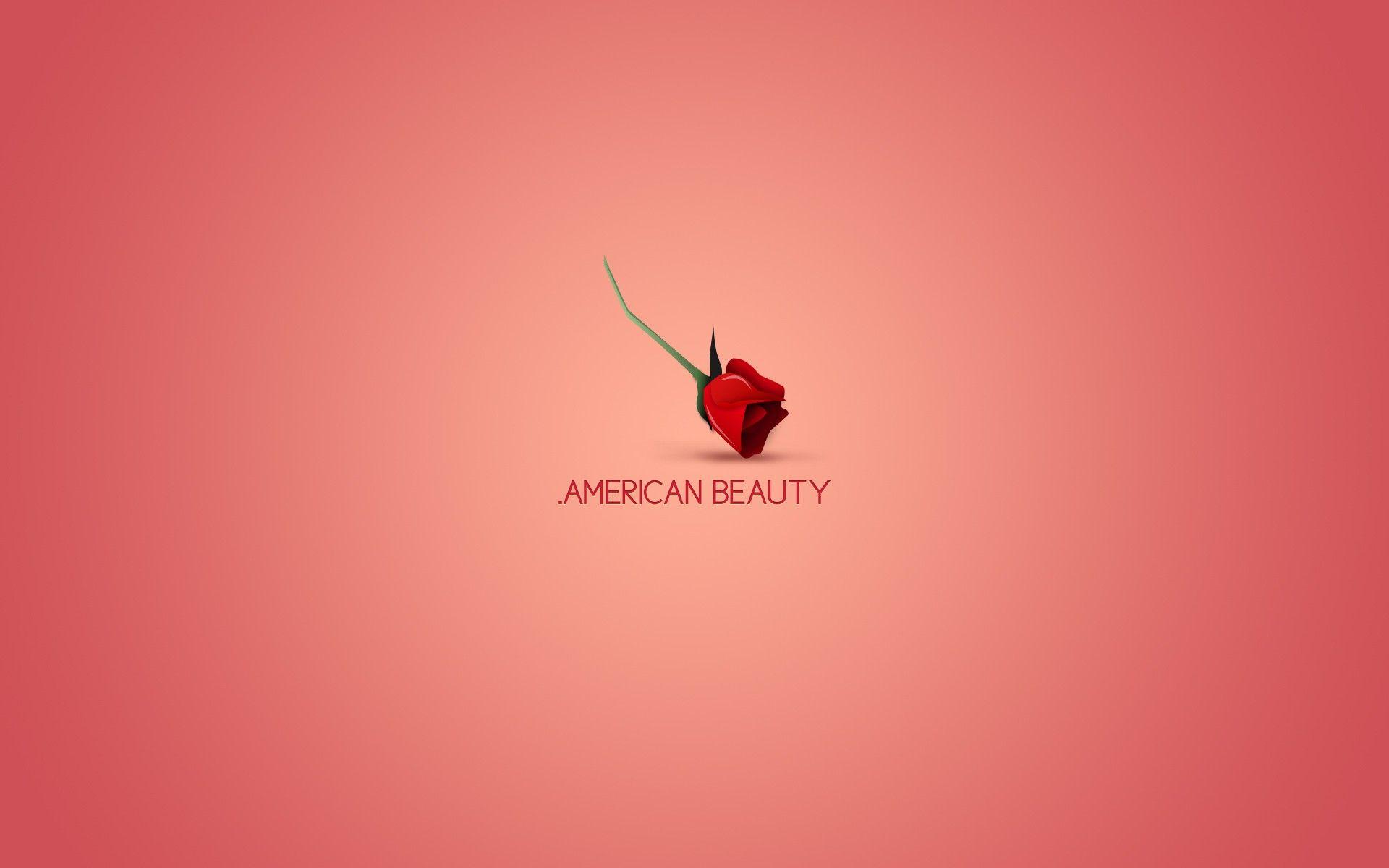 minimalistic, movies, American Beauty :: Wallpapers