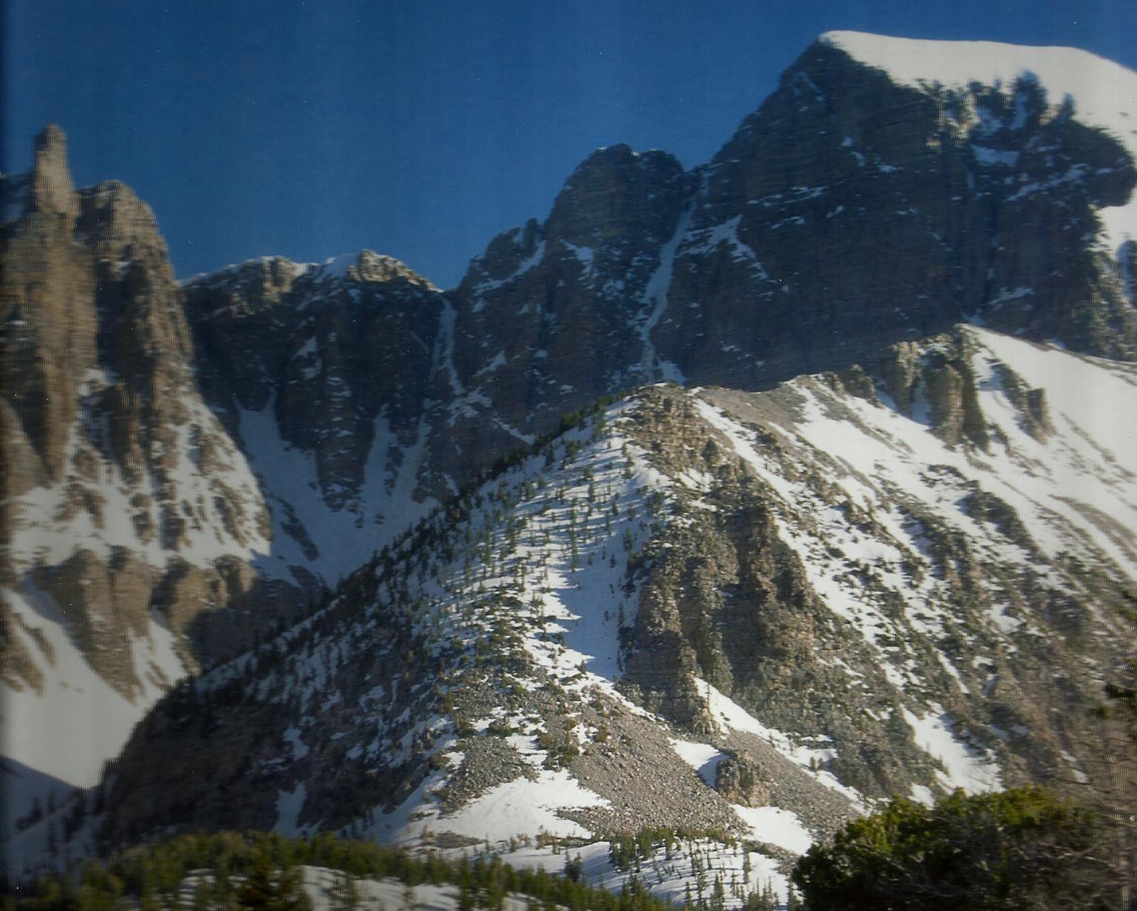 Forest: Great Basin National Park Nevada Snow Mountian Sky