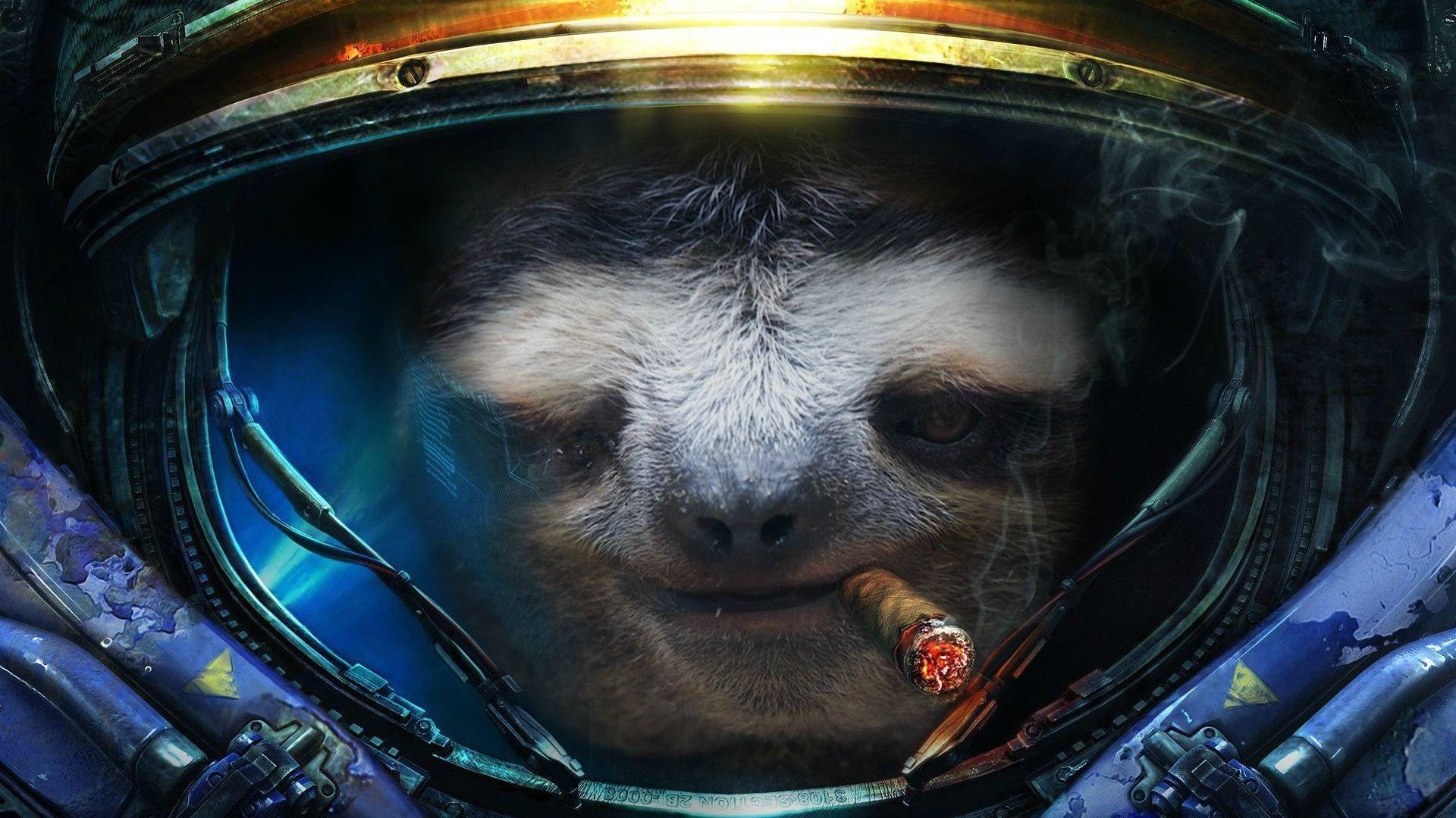 Pix For > Sloth Galaxy Wallpapers