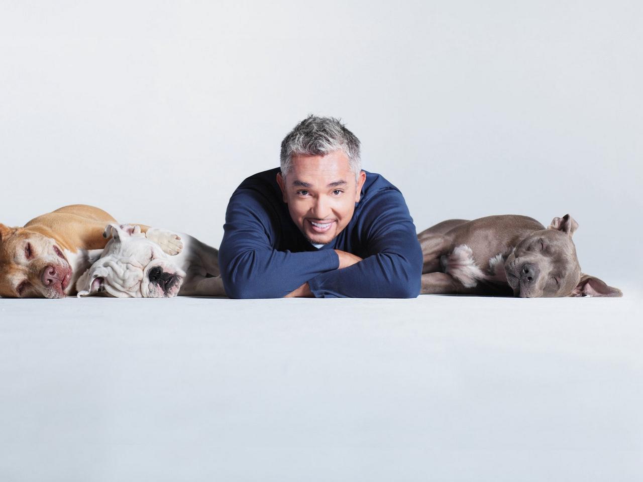 Download wallpapers cesar millan, dog, trainer, death, fraud