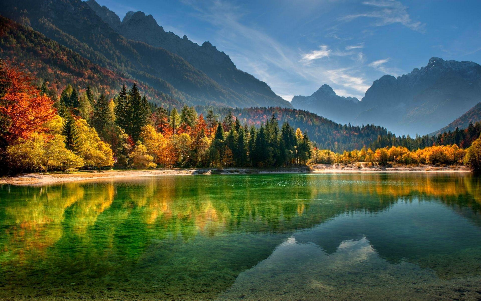 trees, reflection, beautiful, lakeside beach, autumn, forest