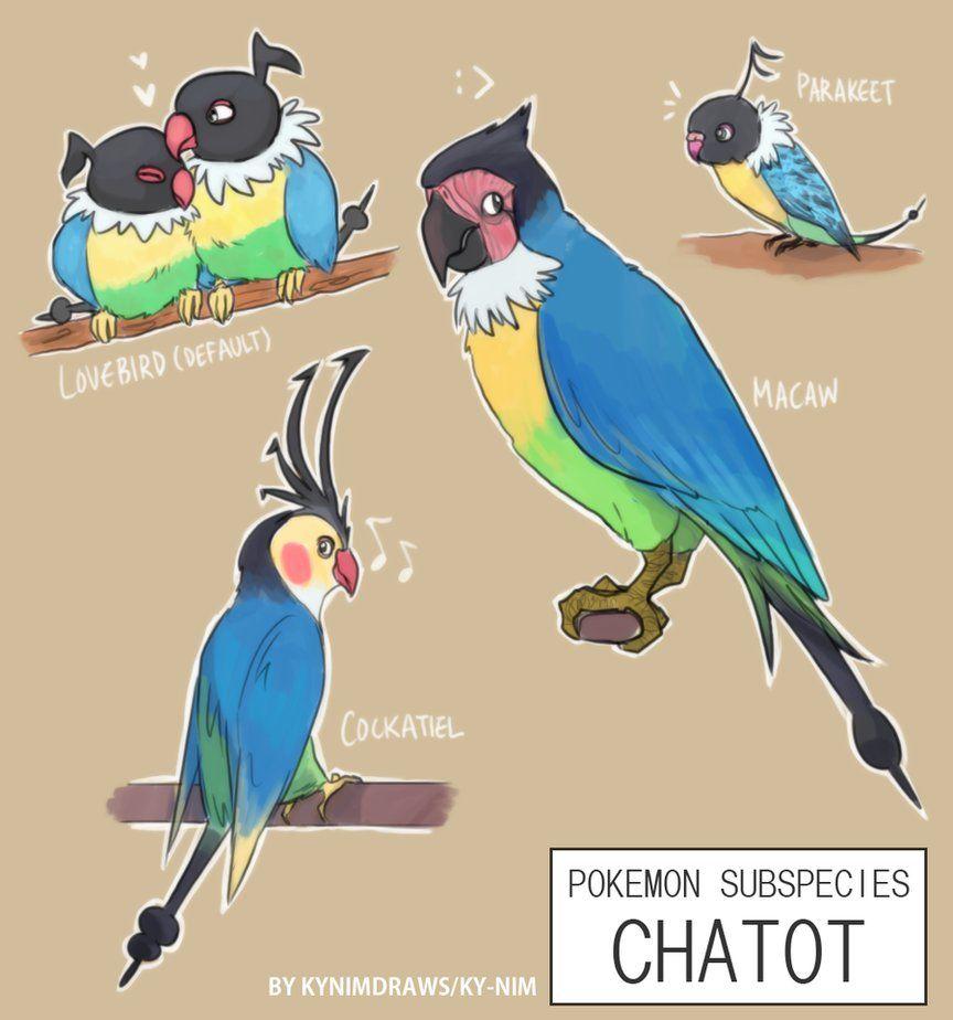 Pkmn Subspecies: Chatot by ky