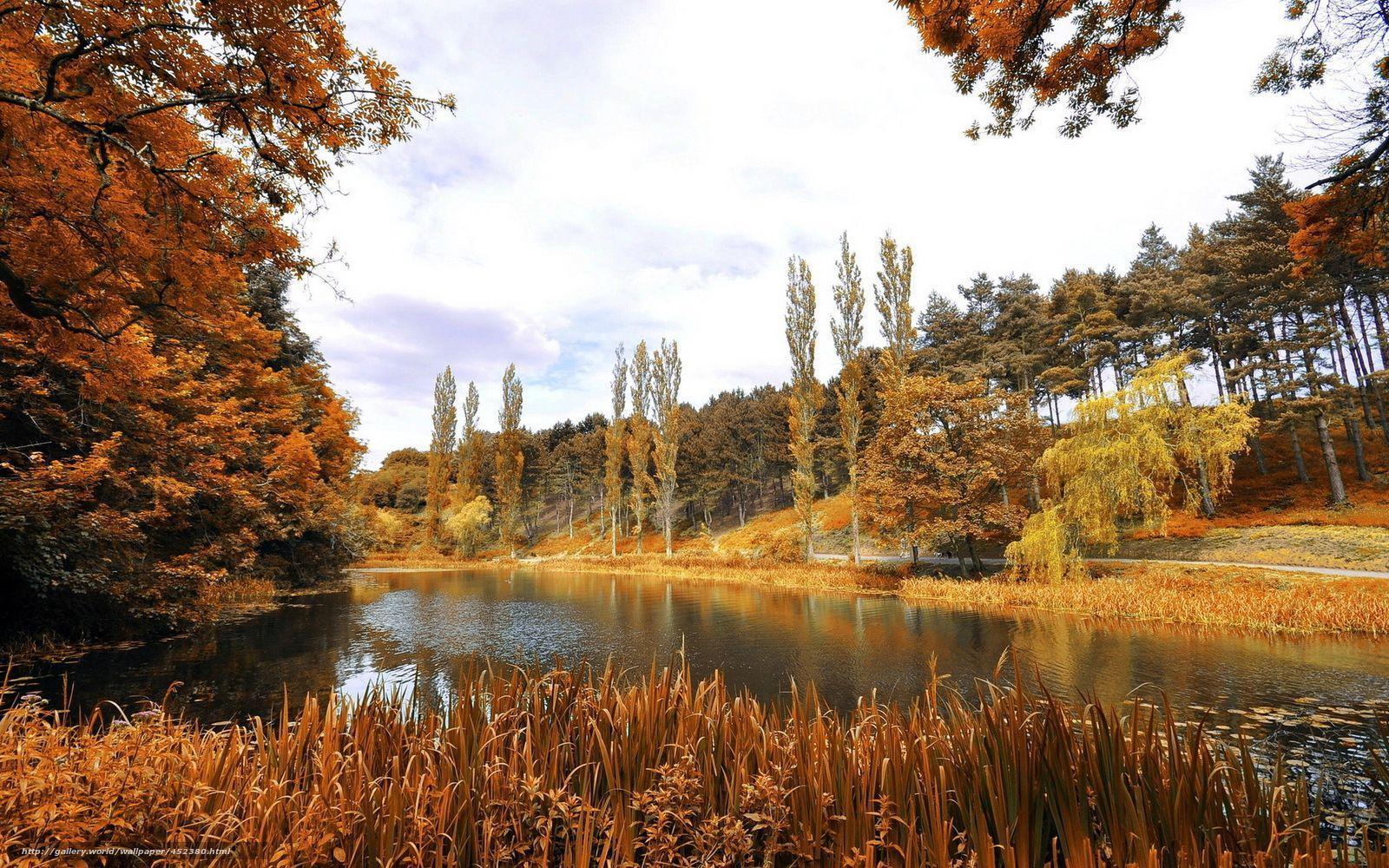 Download wallpapers phoenix park, dublin, landscape free desktop