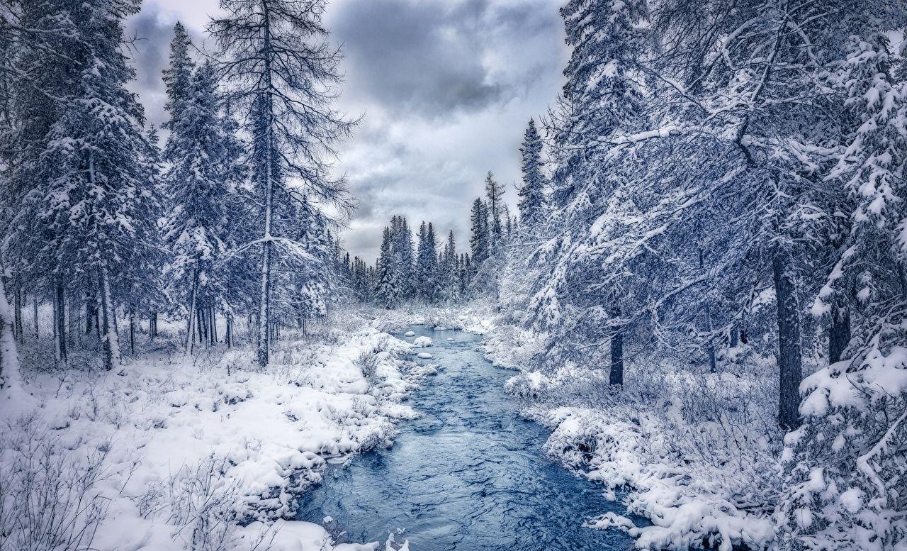 Canada Quebec Nature Stream Winter Forests Trees