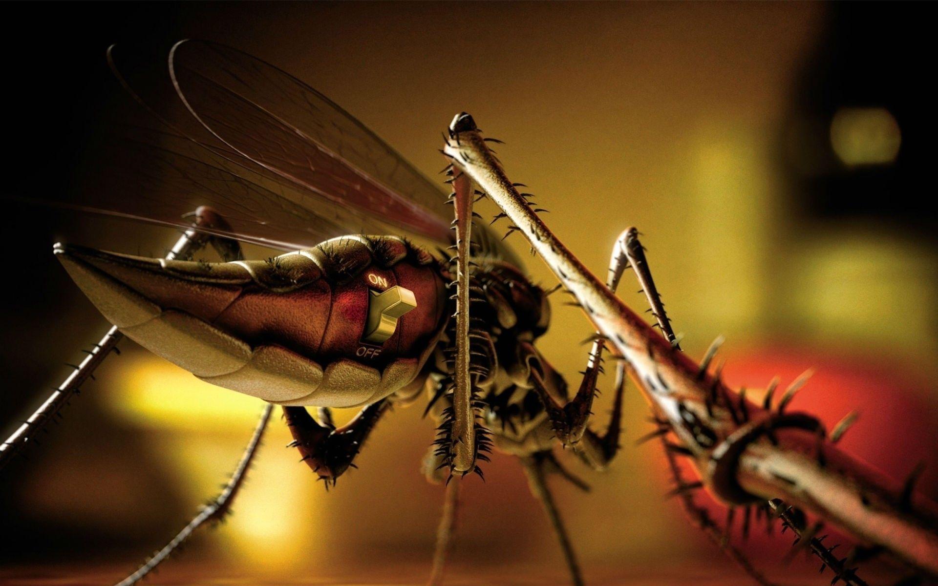 Artwork mosquito wallpapers