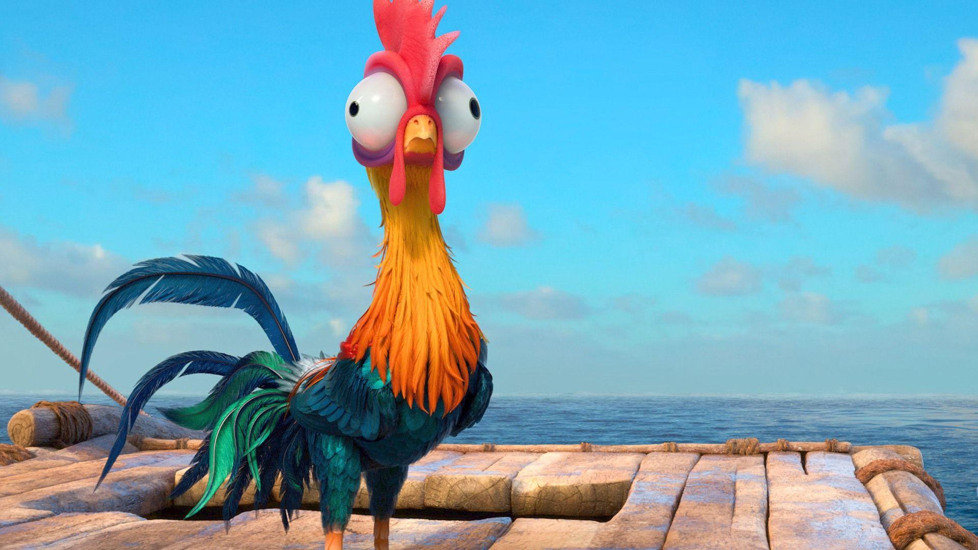 Heihei Moana Disney Movie Chicken Wallpapers