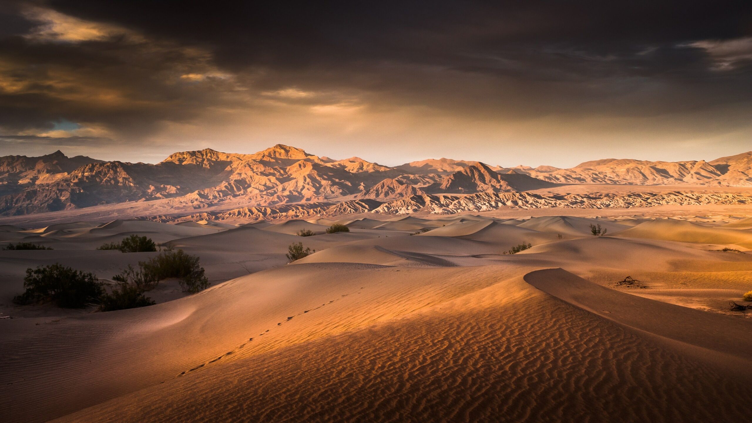 Sunrise Over The Mesquite Flat Sand Dunes