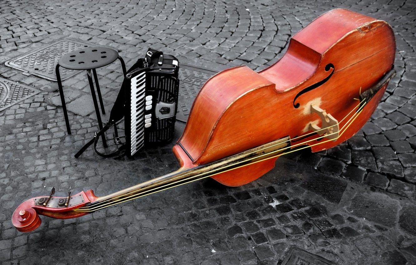 Wallpapers violin, double bass, instrumentos, rope image for desktop