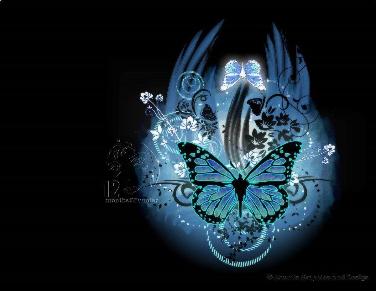 Most Beautiful Butterflies Wallpapers colorfull deskop backgrounds