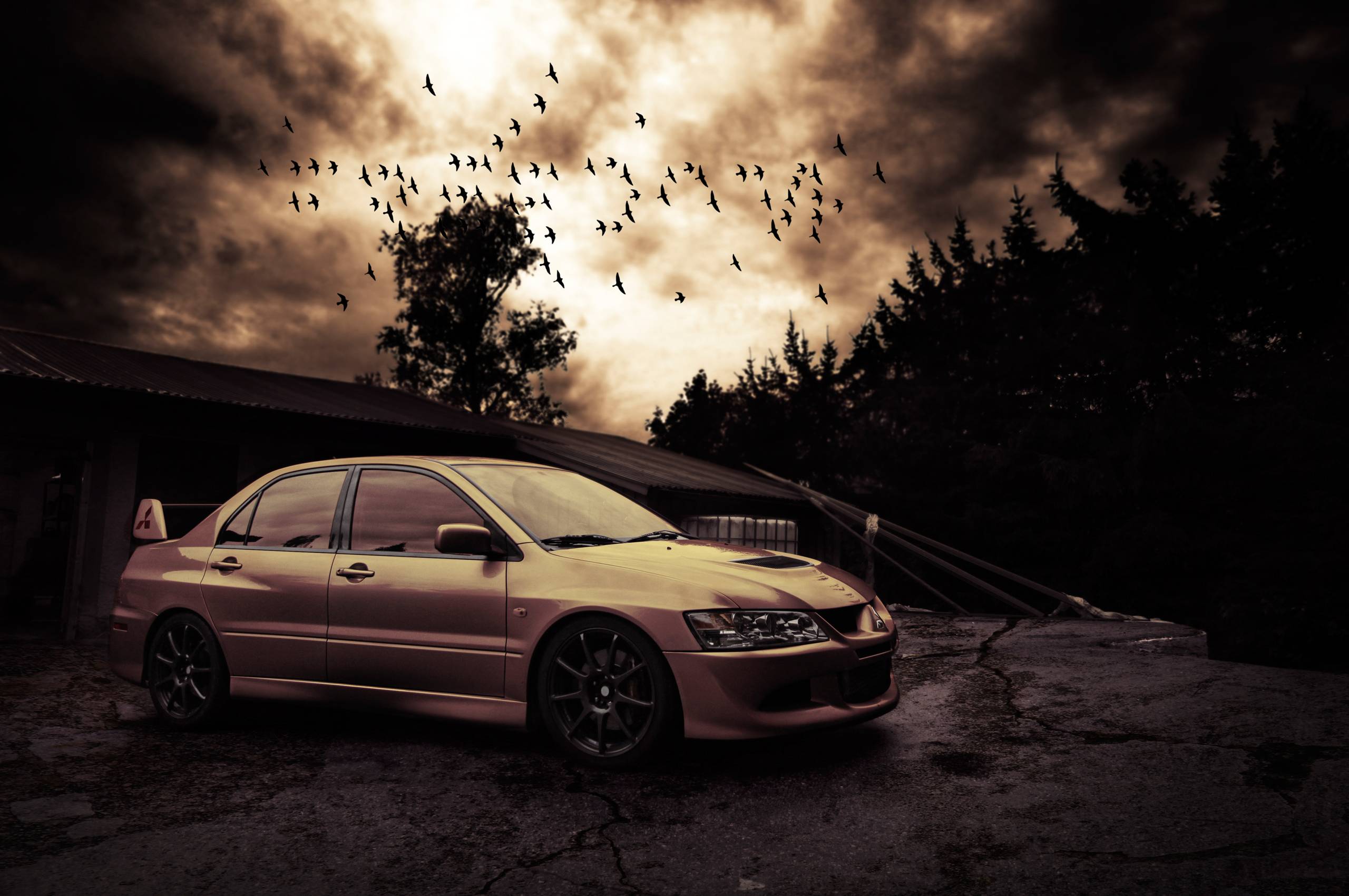 Wallpapers mitsubishi lancer evo viii, birds, evening