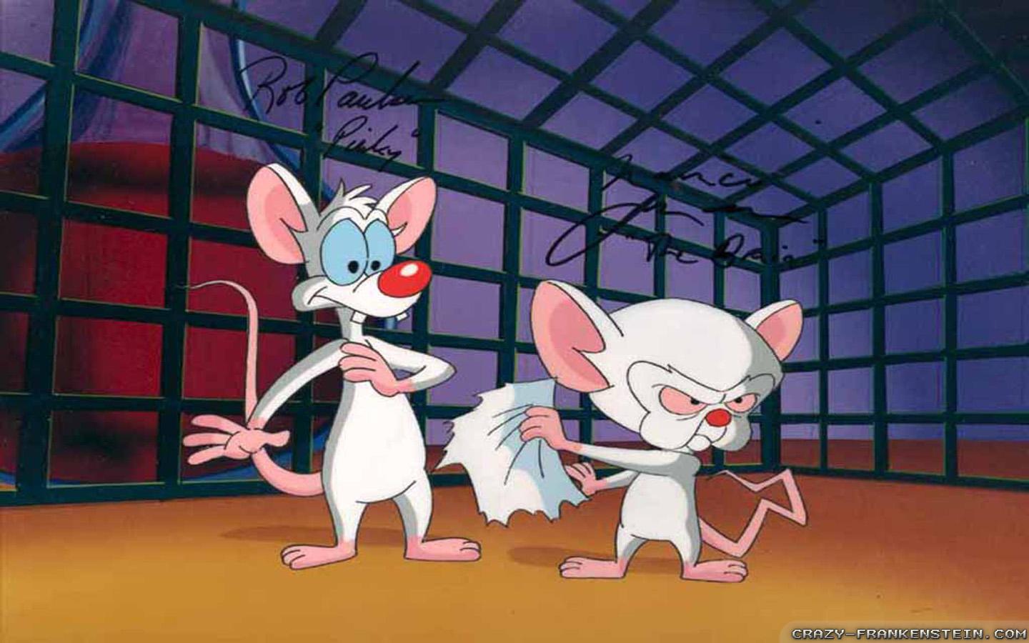 Pinky And The Brain Wallpapers