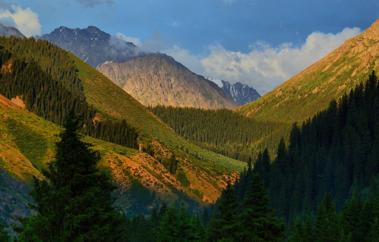 Wallpapers trees, mountains, gorge, Kyrgyzstan, Kyrgyzstan, Jety