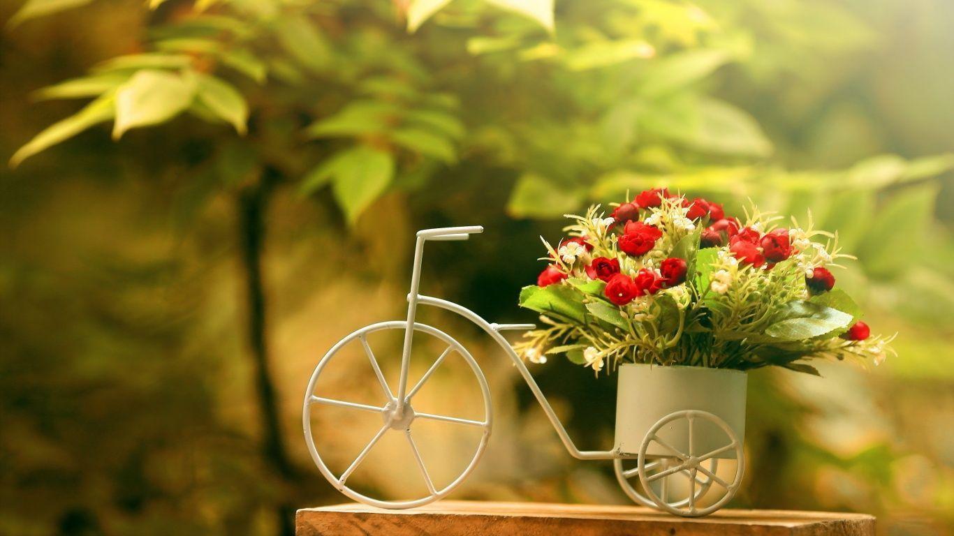 Bike flowerpot Wallpapers