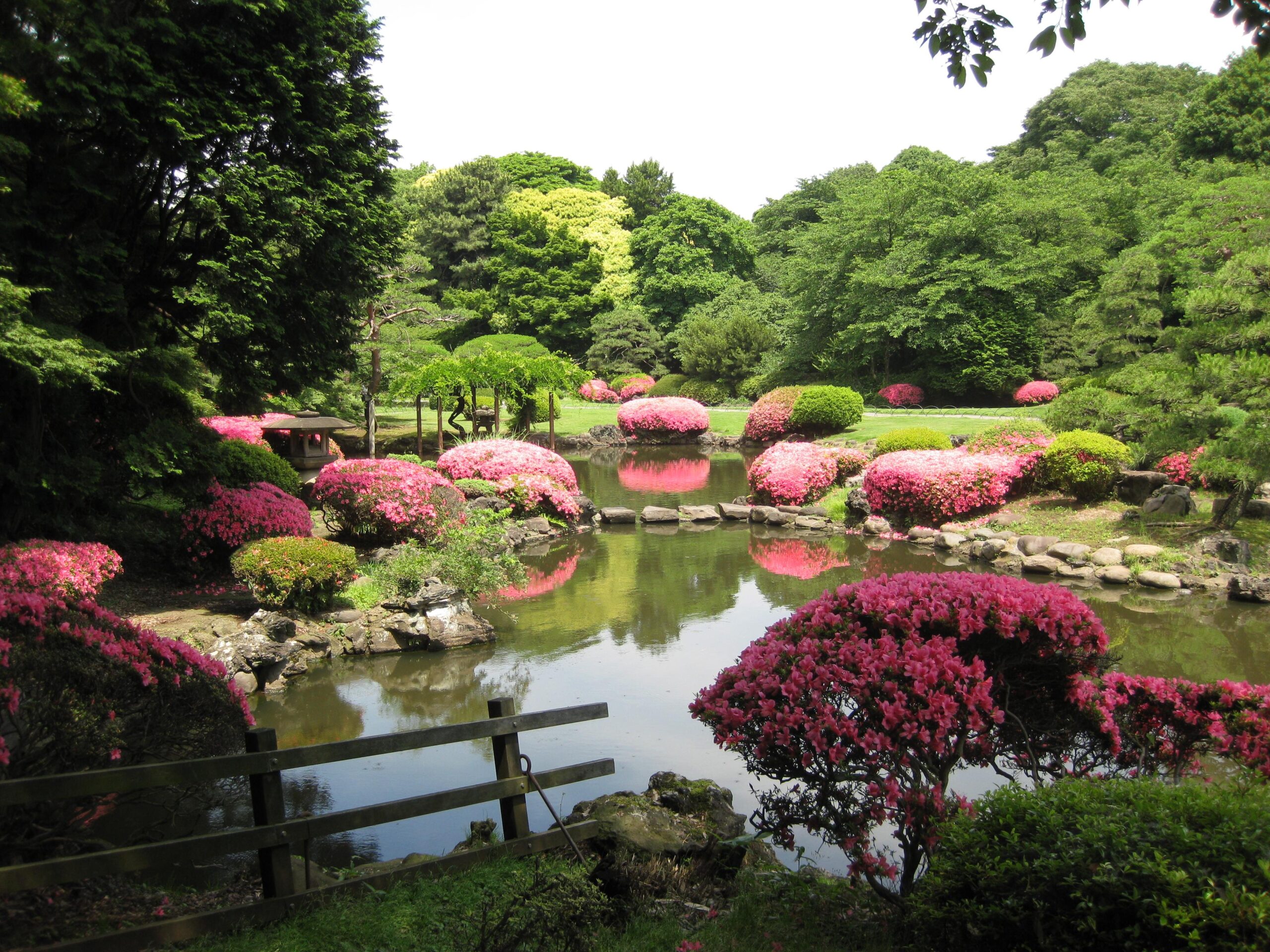 File:Impression of Shinjuku Gyoen, Tokyo