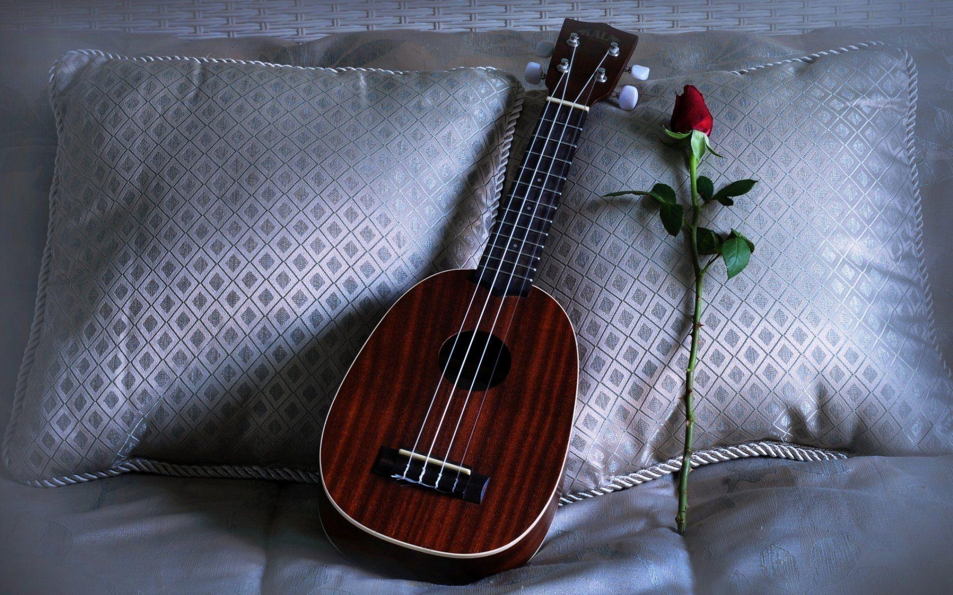 ukulele rose pillows love song HD wallpapers