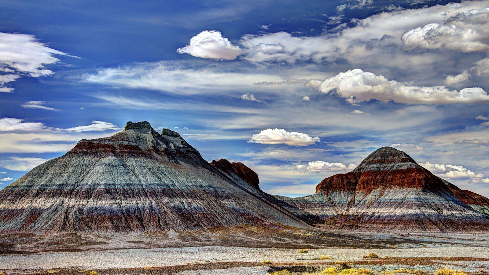 Petrified Forest National Park