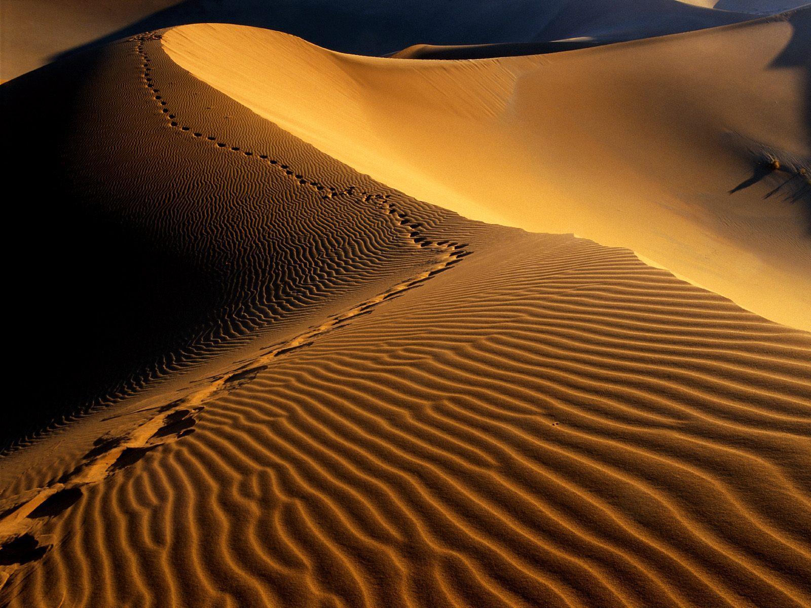 Footprints on sand dunes free desktop backgrounds