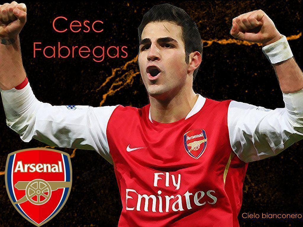 Cesc Fabregas Wallpapers 2 Uefa Champions League 0809 English