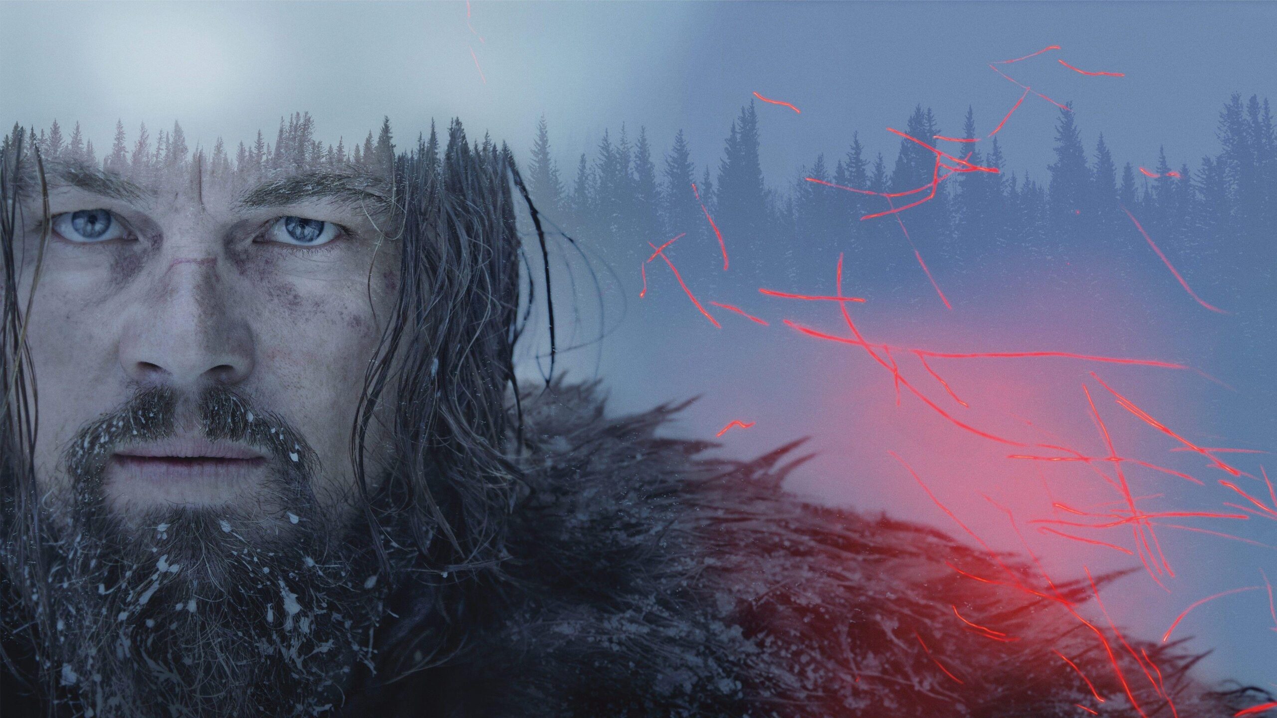 Leonardo DiCaprio, The Revenant Wallpapers HD / Desktop and Mobile