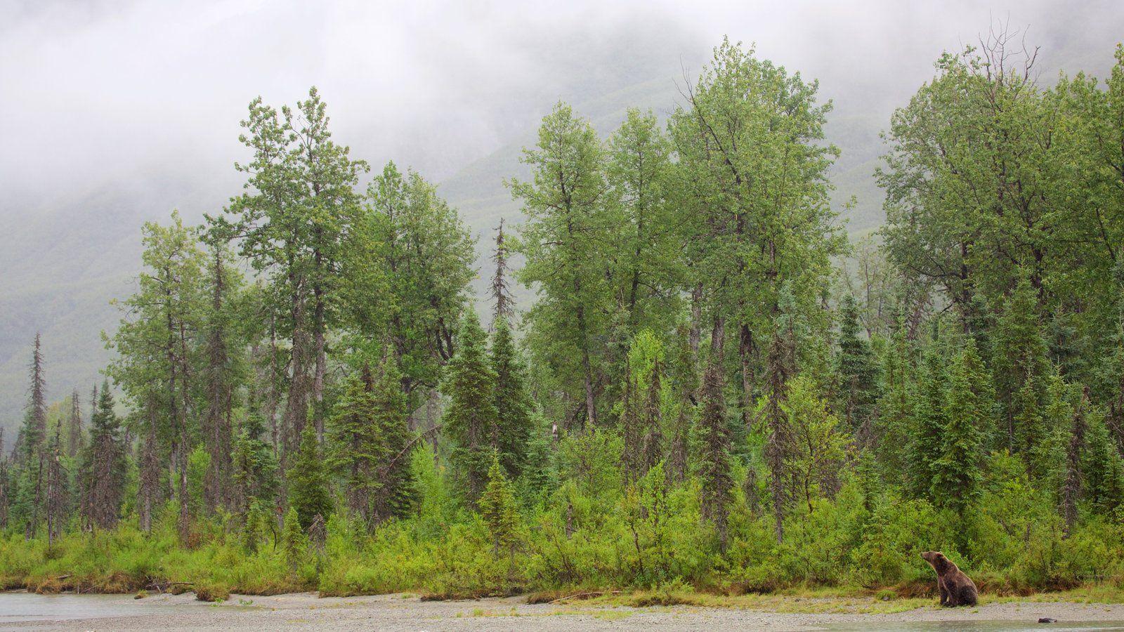 Peaceful Pictures: View Image of Lake Clark National Park and