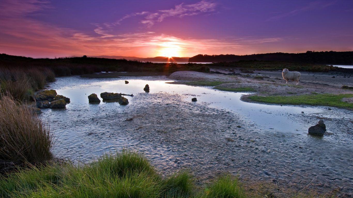 Africa Tanzania Sunset Tanzanian Clouds Trees Serengeti Hd