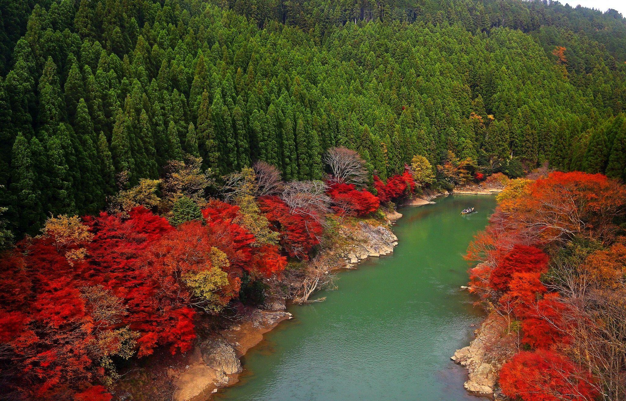 Wallpapers Arashiyama, Kyoto, Japan, Oi River, Япония Desktop Picture