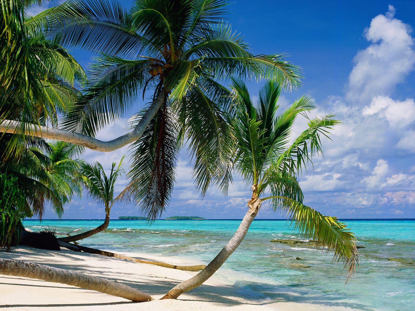 Tepuka Island in Tuvalu… White sands, turquoise water and