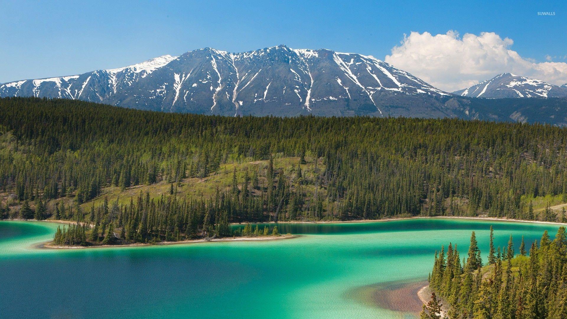 Glacier Bay National Park and Preserve wallpapers