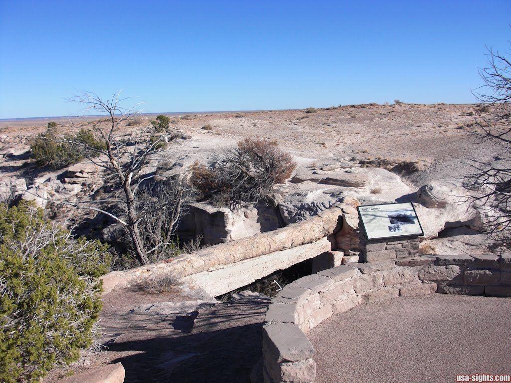 Petrified Forest National Park