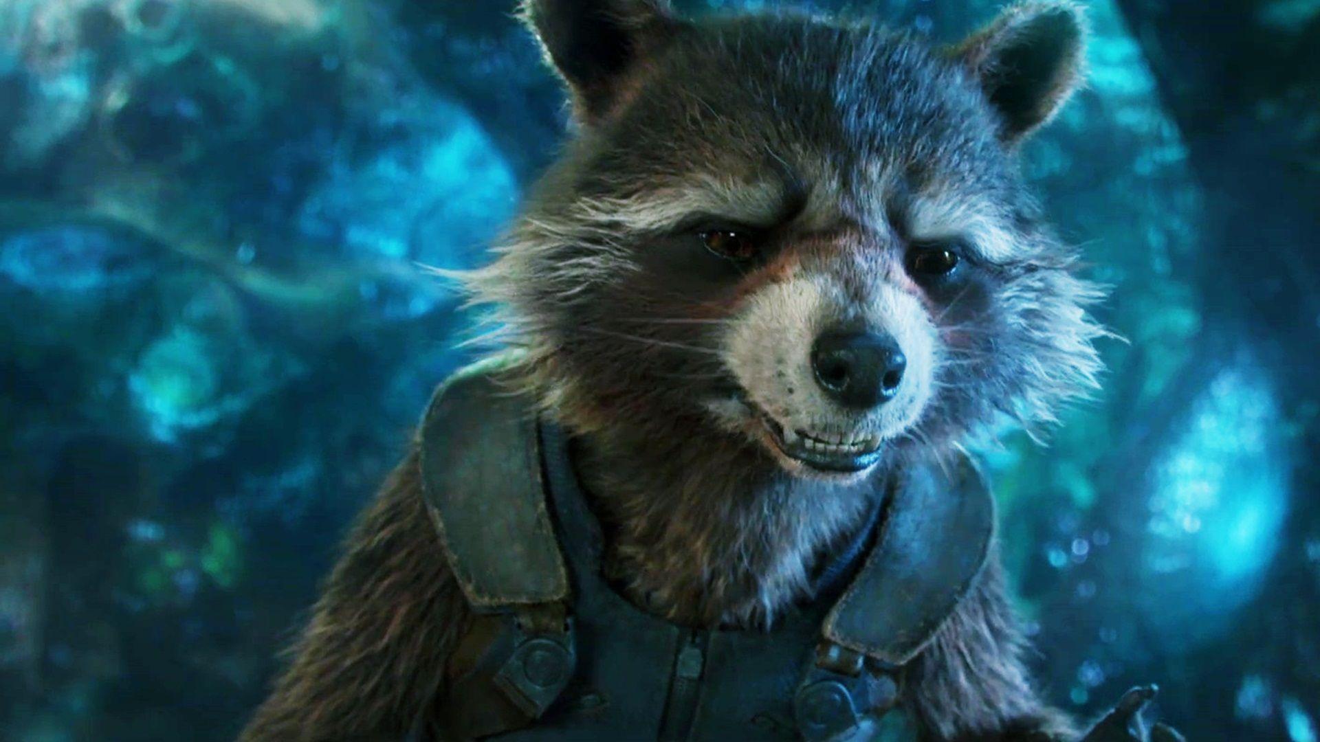 Guardians Of The Galaxy Vol. 2 Rocket Raccoon Funny Wallpapers