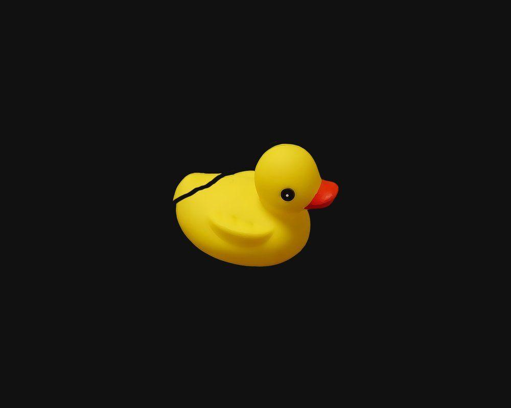 DUCK wallpapers by reniix