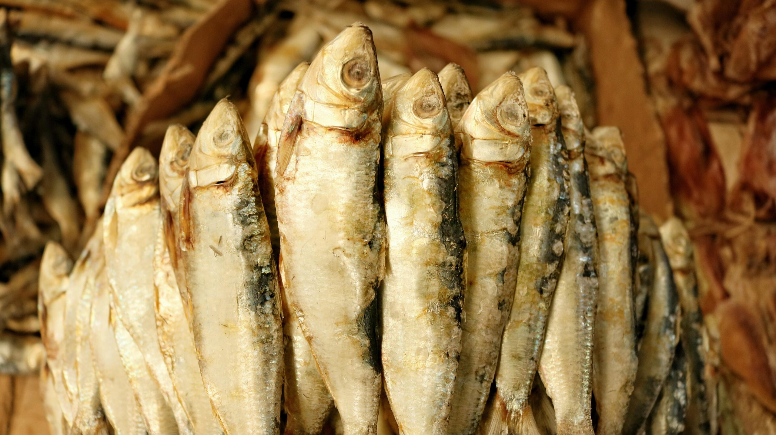 Sardines Pictures