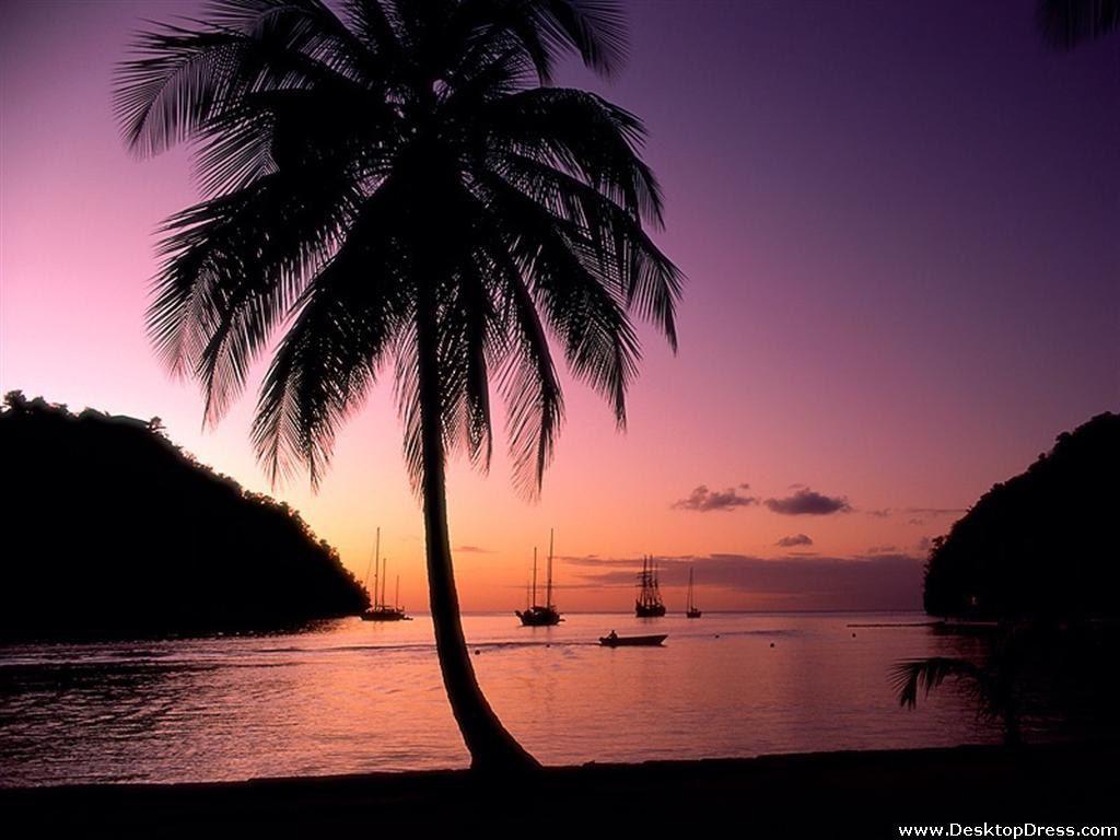 Desktop Wallpapers » Other Backgrounds » Marigot Bay, St Lucia