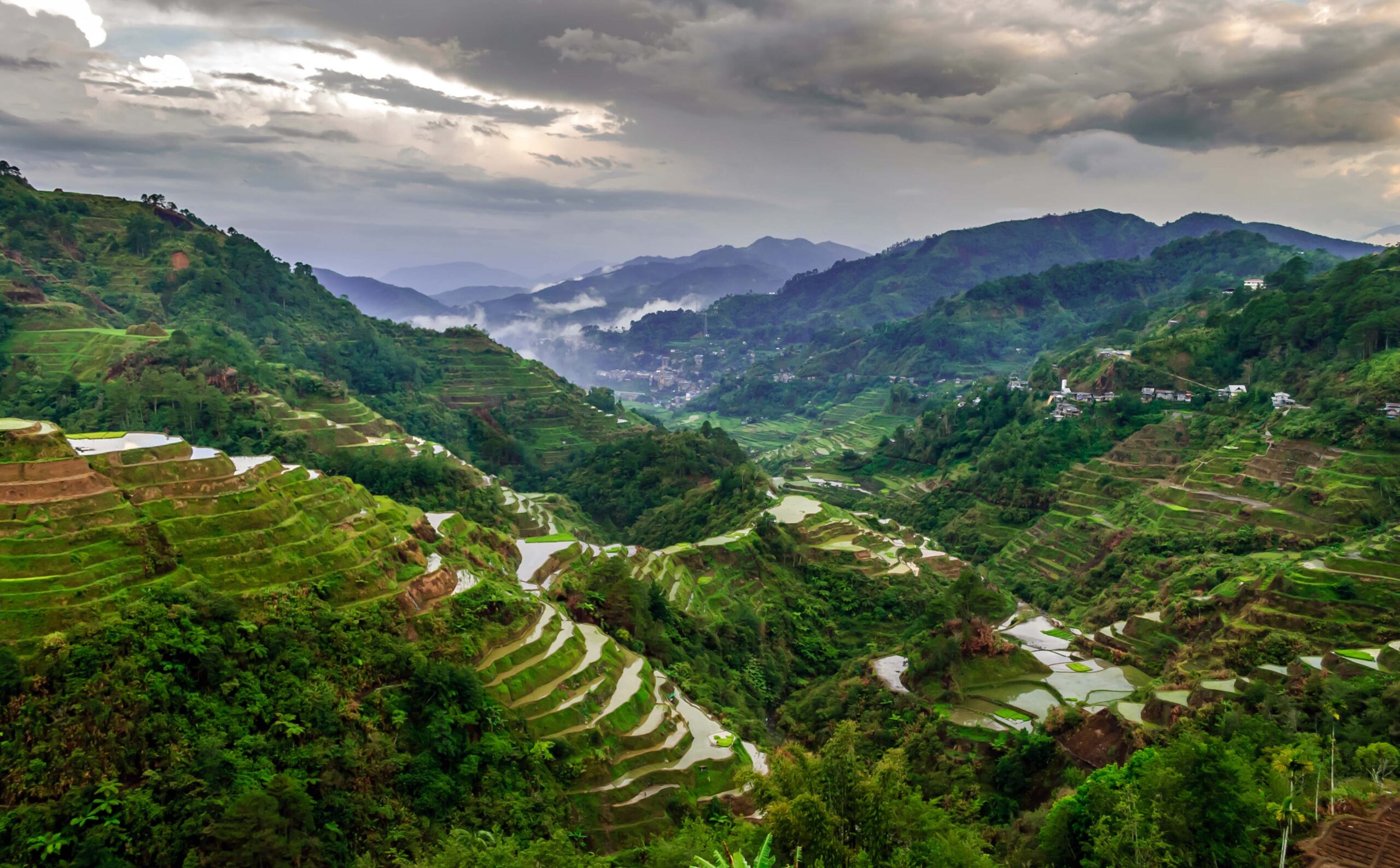 Banaue Rice Terraces Wallpapers