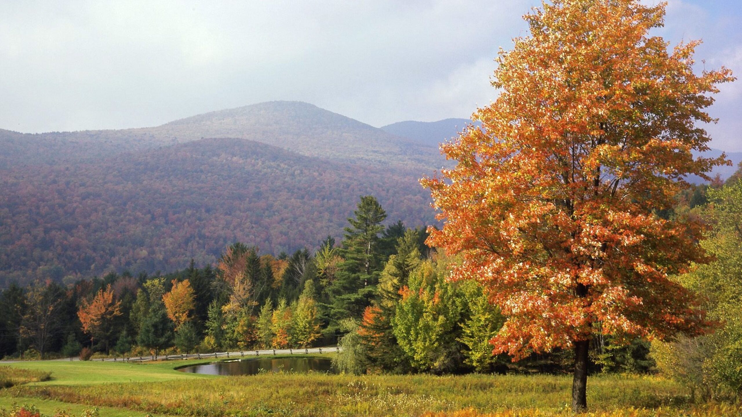 Download Wallpapers Park, Vermont, Trees, Autumn 4K Ultra