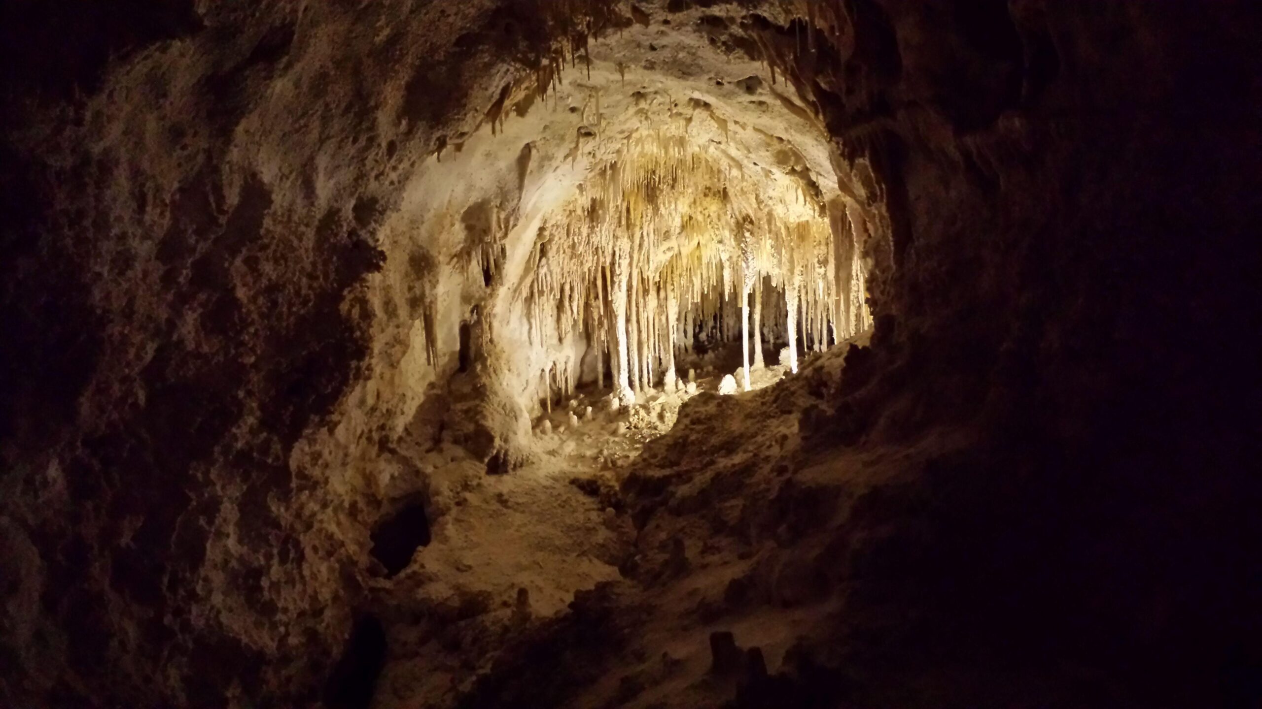 Carlsbad Caverns