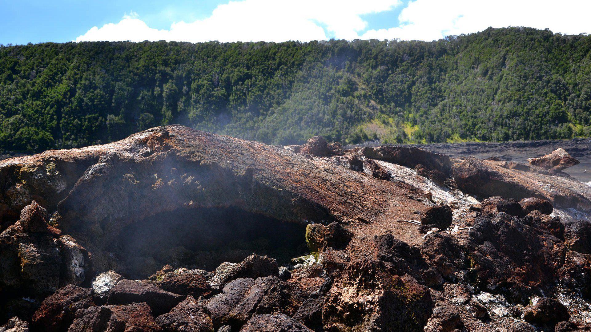 Hawai’i Volcanoes