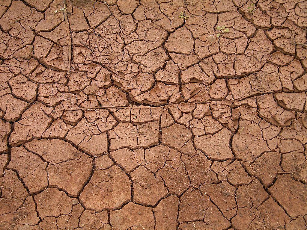 Mud Wallpapers