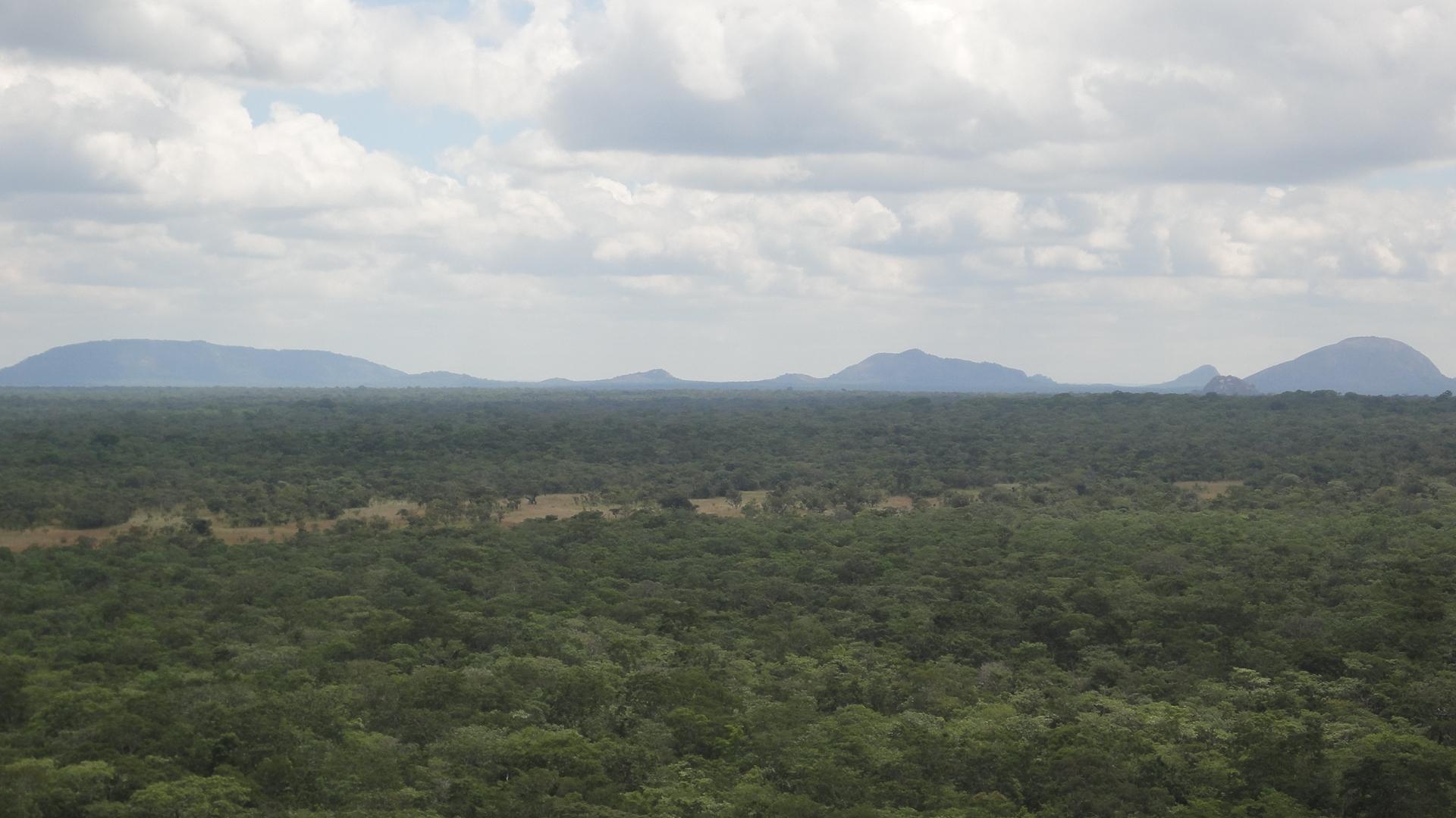 Carnivore Research Malawi