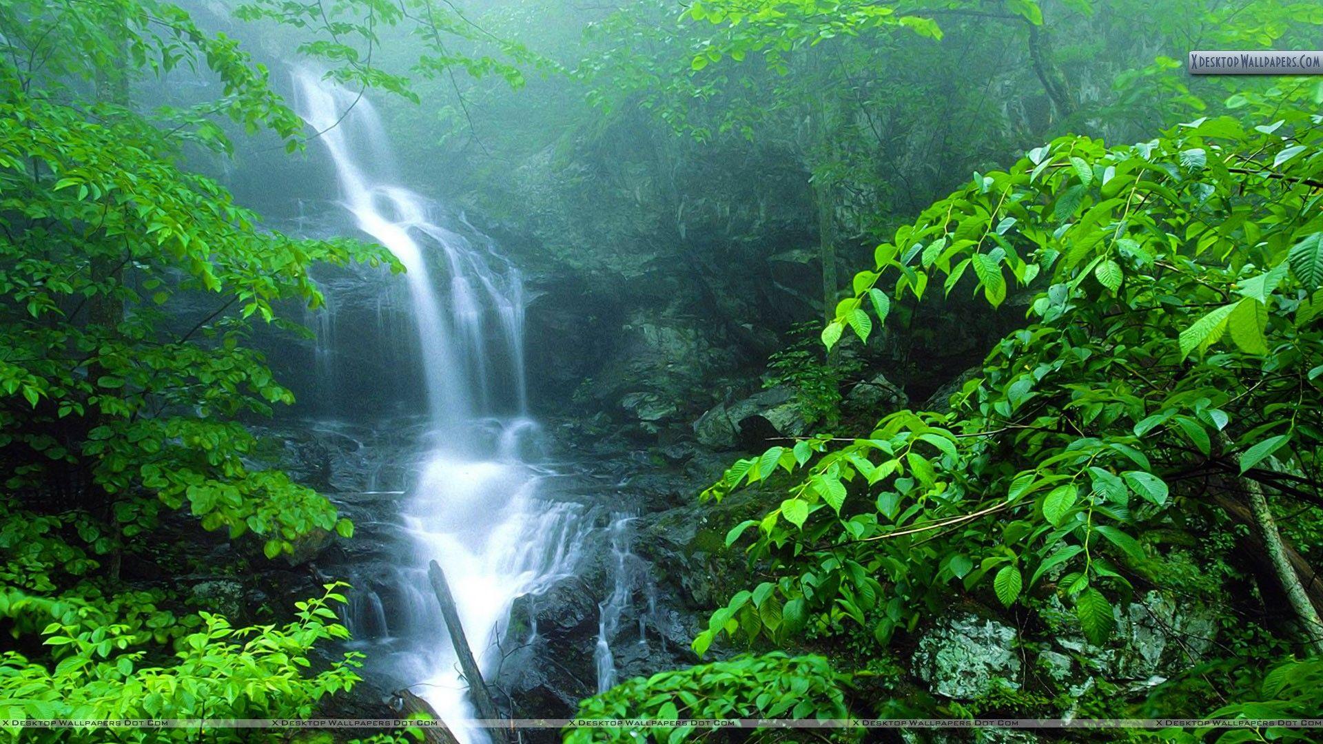 Lower Doyles River Falls, Shenandoah National Park, Virginia Wallpapers