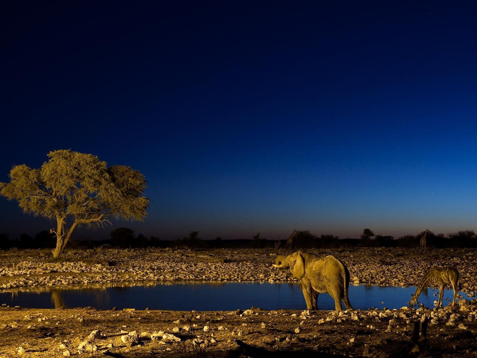 Sahara Night Light Wallpapers