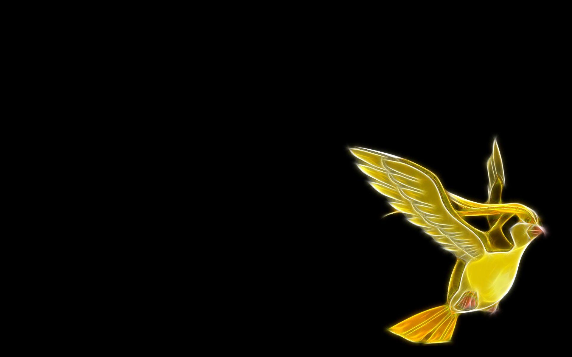 pokemon pidgeot black backgrounds wallpapers High Quality