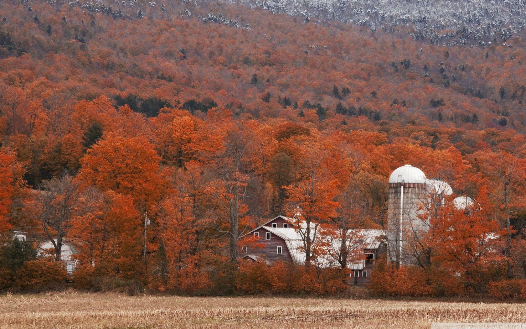 Indian Summer, Vermont ❤ 4K HD Desktop Wallpapers for 4K Ultra HD